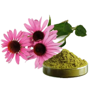 Echinacea Purpurea Extract (500mg)