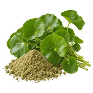 Extracto de Centella Asiática (200 mg)