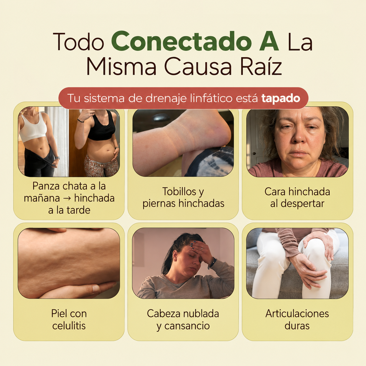Nueva Fórmula · 7 Botánicos | Cápsulas de Drenaje Linfático by Zent™