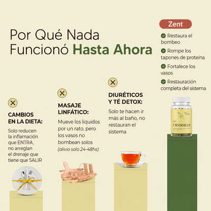 Nueva Fórmula · 7 Botánicos | Cápsulas de Drenaje Linfático by Zent™